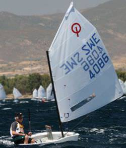 J Sail Optimist Race Sails