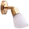 Victory LED Reading Light Brass Frosted Shade 3w 12v